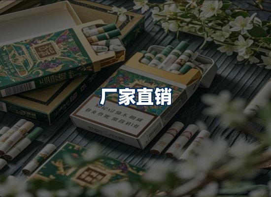 专业团队办公环境